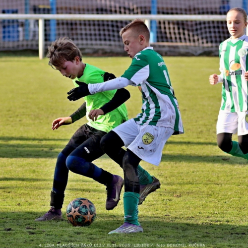 sh13-krocehlavy (65).jpg