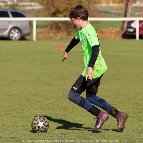 sh13-krocehlavy (69).jpg