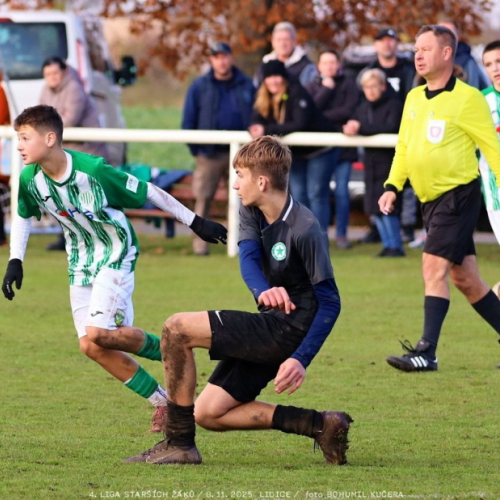 sh15-kročehlavy (5).jpg