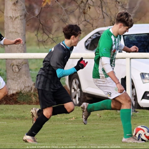 sh15-kročehlavy (4).jpg