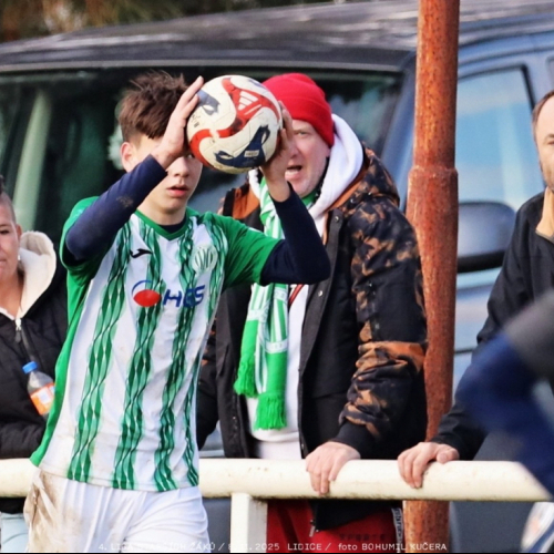 sh15-kročehlavy (1).jpg