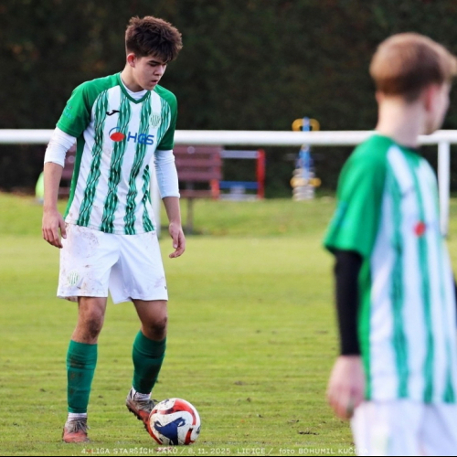 sh15-kročehlavy (7).jpg