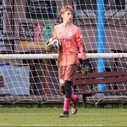 sh15-kročehlavy (9).jpg