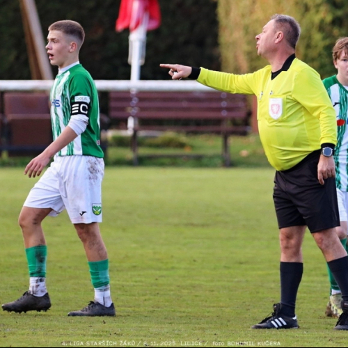 sh15-kročehlavy (6).jpg