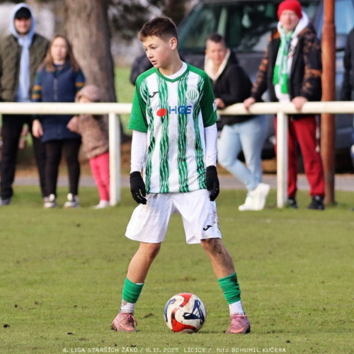 sh15-kročehlavy (8).jpg