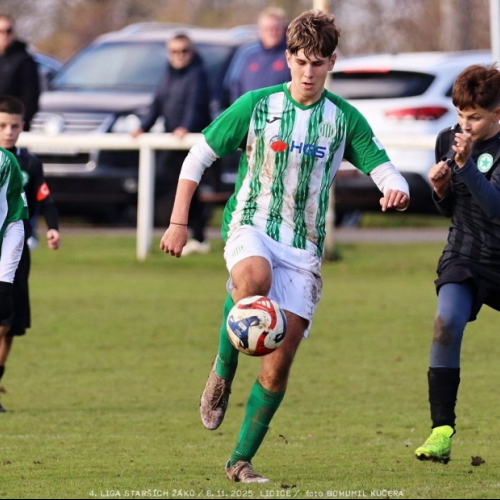 sh15-kročehlavy (13).jpg