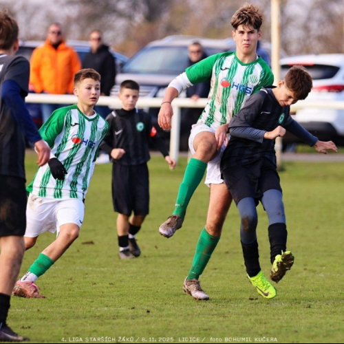 sh15-kročehlavy (14).jpg