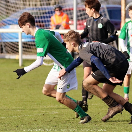 sh15-kročehlavy (18).jpg