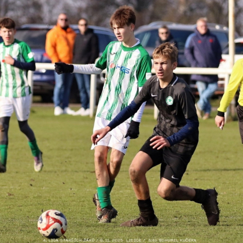 sh15-kročehlavy (19).jpg