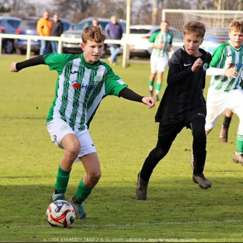 sh15-kročehlavy (21).jpg