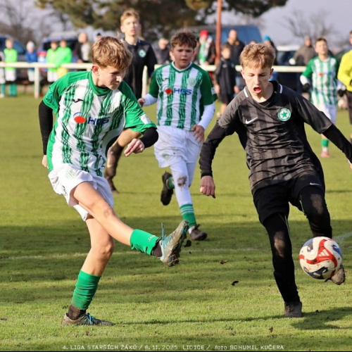 sh15-kročehlavy (22).jpg