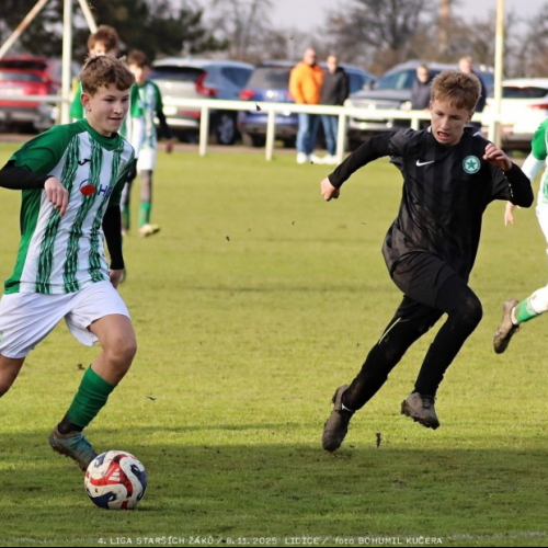 sh15-kročehlavy (20).jpg