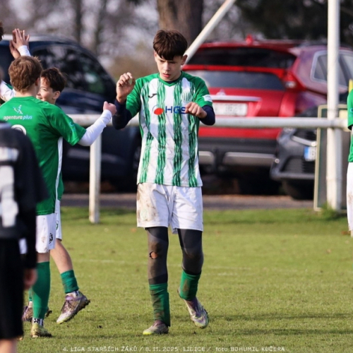 sh15-kročehlavy (23).jpg