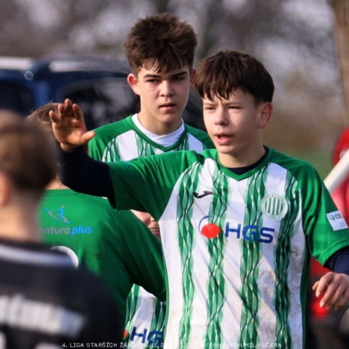 sh15-kročehlavy (24).jpg