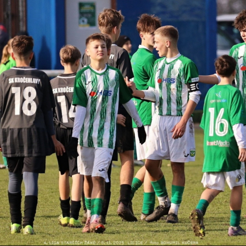 sh15-kročehlavy (27).jpg