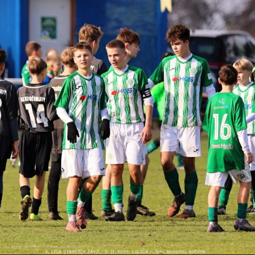 sh15-kročehlavy (28).jpg