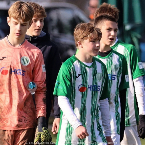 sh15-kročehlavy (31).jpg