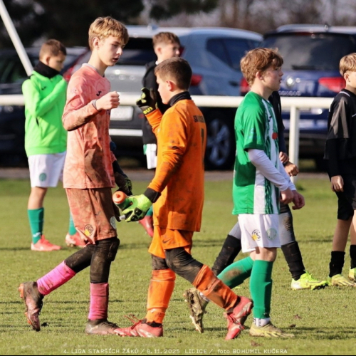 sh15-kročehlavy (32).jpg