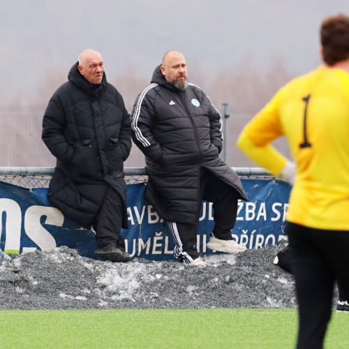 sh-banik ms (0.1).jpg