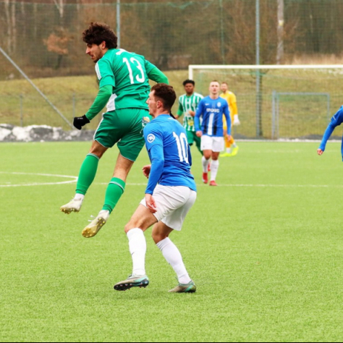 sh-banik ms (21).jpg