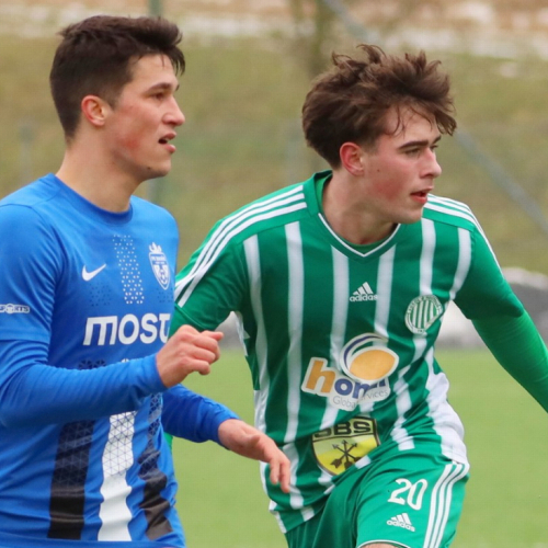 sh-banik ms (38).jpg