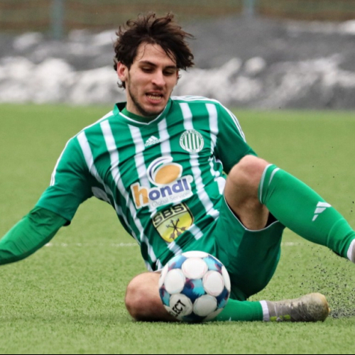 sh-banik ms (46).jpg