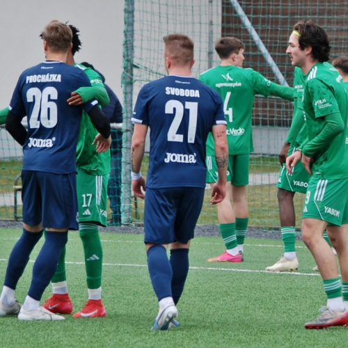 sh-domazlice (1).jpg