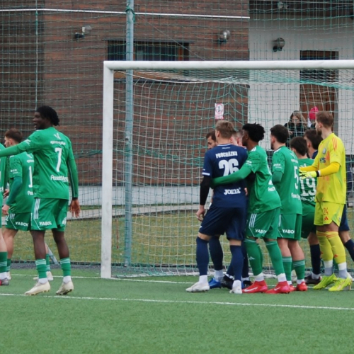 sh-domazlice (10).jpg