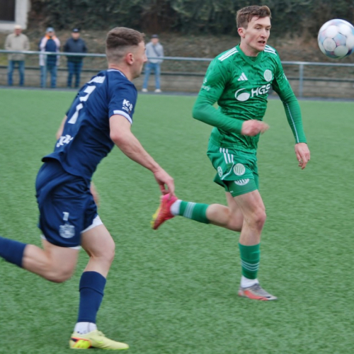 sh-domazlice (20).jpg