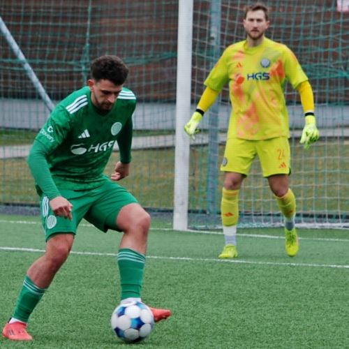 sh-domazlice (24).jpg