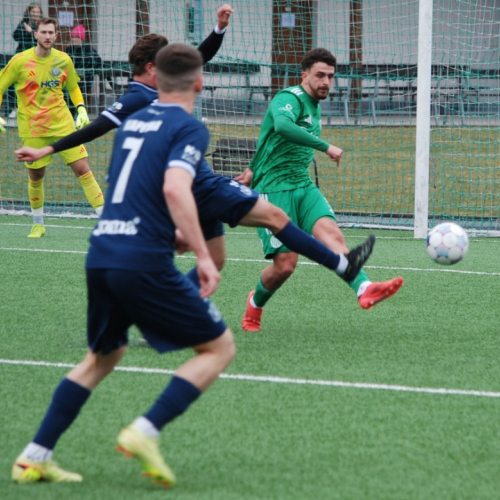 sh-domazlice (25).jpg