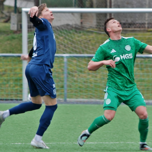 sh-domazlice (26).jpg