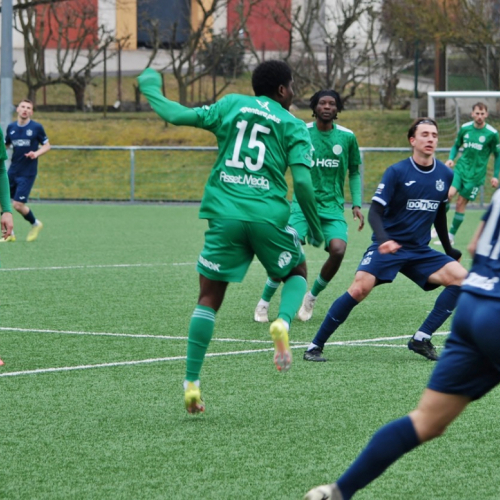 sh-domazlice (29).jpg