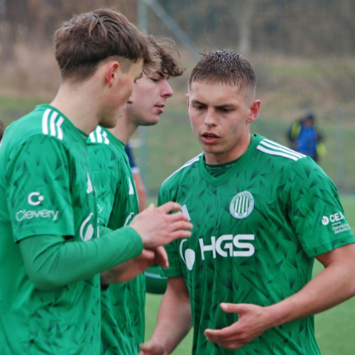 sh-domazlice (38).jpg