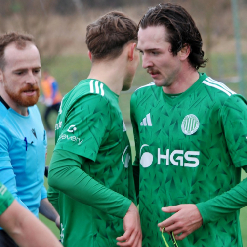 sh-domazlice (39).jpg