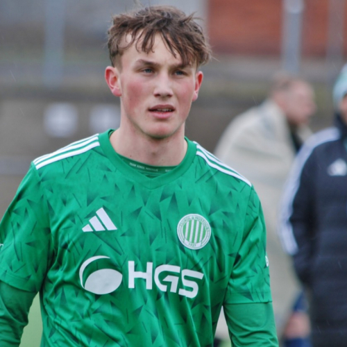 sh-domazlice (45).jpg