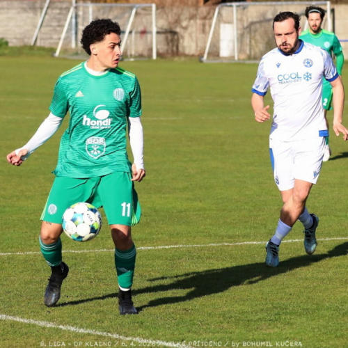 vpritocno-sh (25).jpg