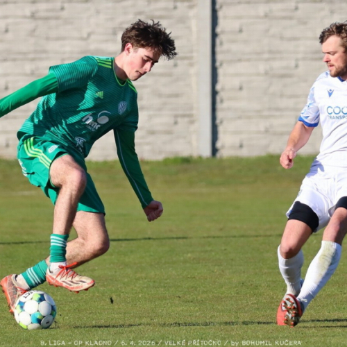 vpritocno-sh (29).jpg