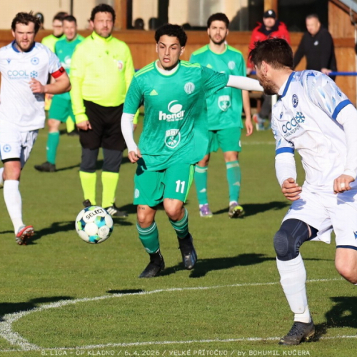 vpritocno-sh (36).jpg