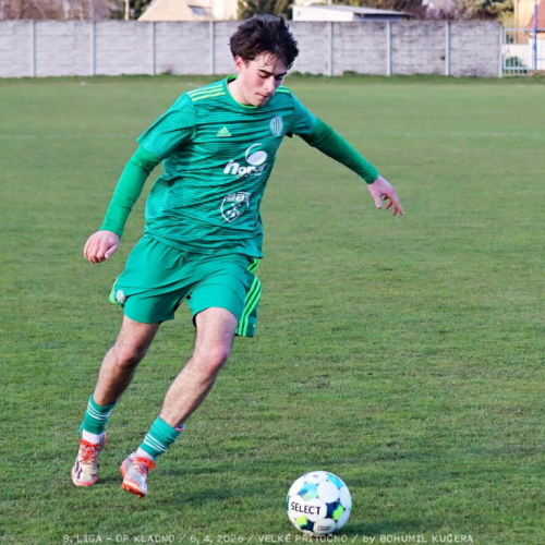 vpritocno-sh (41).jpg