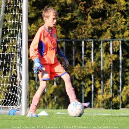 bustehrad-sh11 (10).jpg