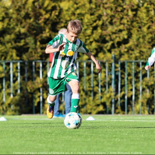 bustehrad-sh11 (15).jpg