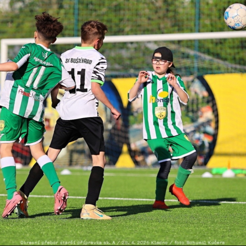 bustehrad-sh11 (23).jpg