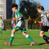 bustehrad-sh11 (24).jpg