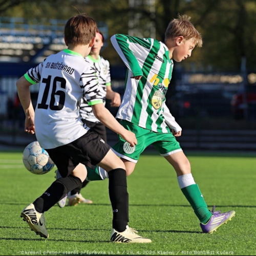 bustehrad-sh11 (45).jpg