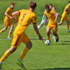 dukla-sh (3).jpg