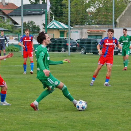 sh-plzen (11).jpg