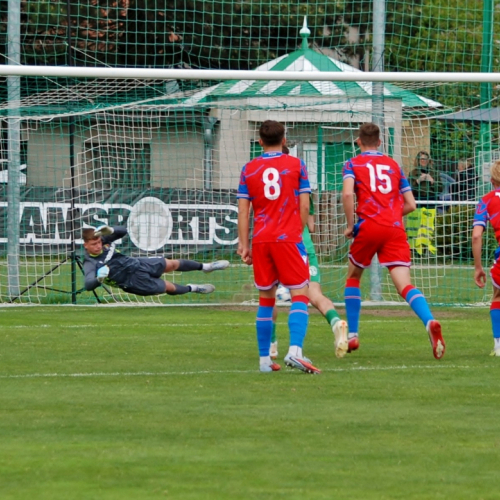 sh-plzen (17).jpg