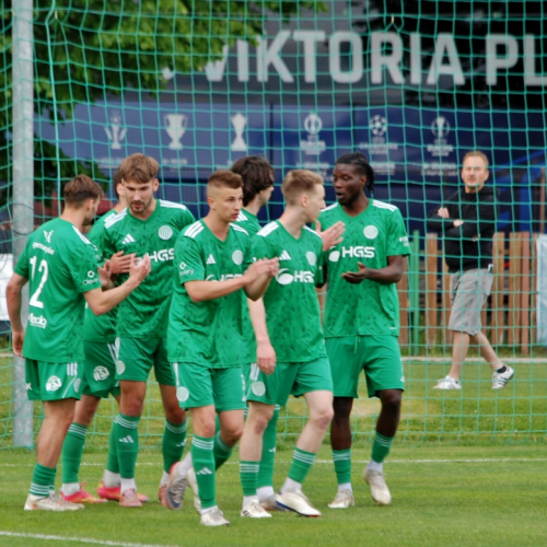 sh-plzen (19).jpg