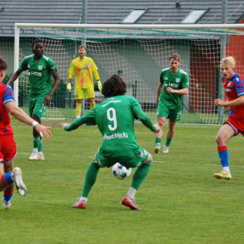 sh-plzen (24).jpg